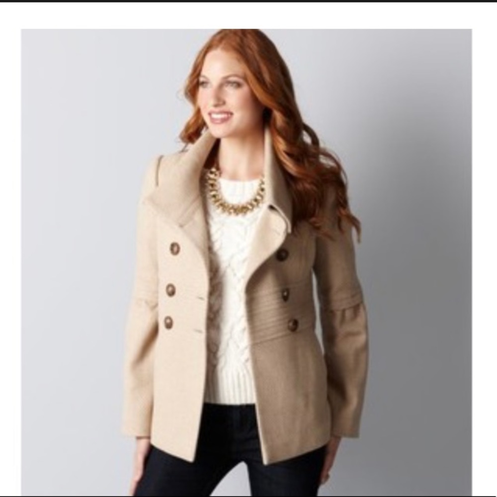 NWOT gorgeous coat